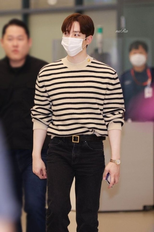 로로피아나 스트라이프 견장니트 국내배송